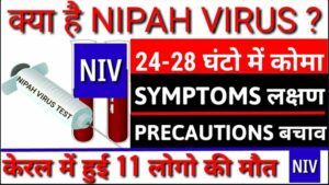 NIPAH VIRUS -SYMPTOMS CAUSES AND PREVENTION